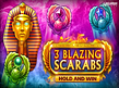 Aperçu de 3 Blazing Scarabs Hold and Win