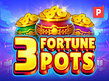 Предварительный просмотр 3 Fortune Pots