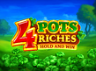 Aperçu de 4 Pots Riches Hold and Win