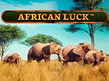 Предварительный просмотр African Luck