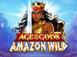 Preview image of Age of the Gods Amazon Wild