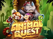 Preview image of Animal Quest