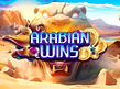 Preview image of Arabian Wins