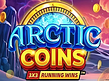 Aperçu de Arctic Coins Running Wins