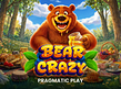 Aperçu de Bear Crazy