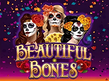 Preview image of Beautiful Bones