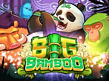 Aperçu de Big Bamboo