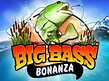 Preview image of Big Bass Bonanza