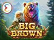 Preview image of Big Brown
