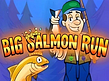 Big Salmon Runのプレビュー画像