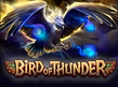 Preview image of Bird of Thunder