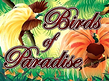 Preview image of Birds of Paradise
