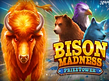 Aperçu de Bison Madness PrizeTower