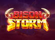 Preview image of Bison Storm