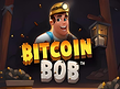 Preview image of Bitcoin Bob