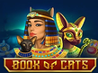 Preview image of Book of Cats