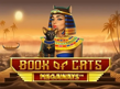 Preview image of Book of Cats Megaways