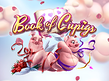 Preview image of Book of Cupigs
