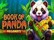 Preview image of Book of Panda MEGAWAYS