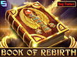 Preview image of Book of Rebirth