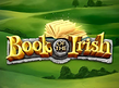 Preview image of Book of the Irish