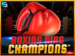 Preview image of Boxing Ring Champions