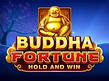 Preview image of Buddha Fortune
