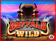 Preview image of Buffalo Goes Wild
