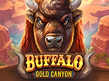 Preview image of Buffalo Gold Canyon