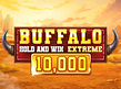 Preview image of Buffalo Hold and Win Extreme 10000