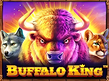 Preview image of Buffalo King
