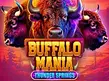 Preview image of Buffalo Mania Thunder Springs