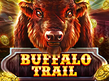 Preview image of Buffalo Trail