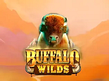 Предварительный просмотр Buffalo Wilds
