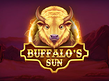 Aperçu de Buffalos Sun