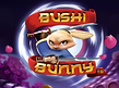 Preview image of Bushi Bunny