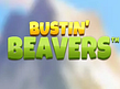 Aperçu de Bustin Beavers