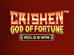 Preview image of Caishen God of Fortune