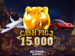 Aperçu de Cash Pig 2 15000