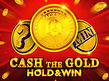 Preview image of Cash The Gold Hold and Win