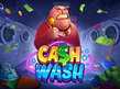 Preview image of Cash Wash