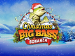 Preview image of Christmas Bass Bonanza
