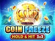 Предварительный просмотр Coin Freeze Hold and Hit 3x3