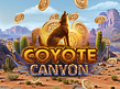 Предварительный просмотр Coyote Canyon