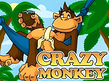 Preview image of Crazy Monkey