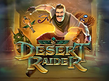 Preview image of Desert Raider