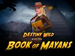 Preview image of Destiny Wild and the Book of Mayans
