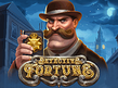 Preview image of Detective Fortune