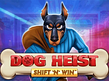 Предварительный просмотр Dog Heist Shift N Win