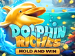 Aperçu de Dolphin Riches Hold and Win